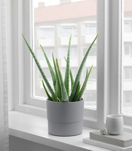 قابلمه میکا دورو - تصویر 4