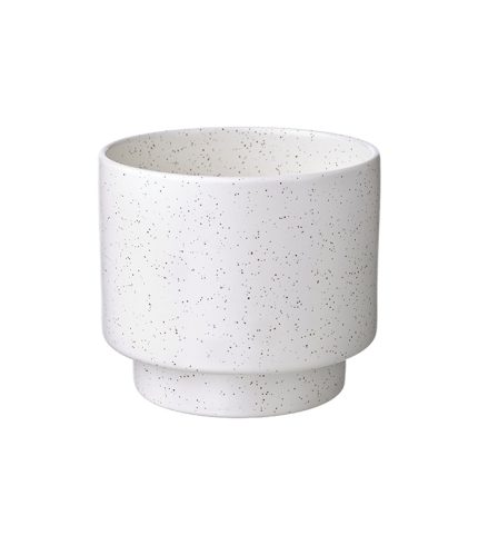 دراکفروکت - تصویر 2