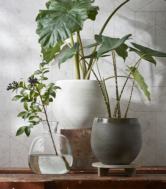 قابلمه میکا دورو